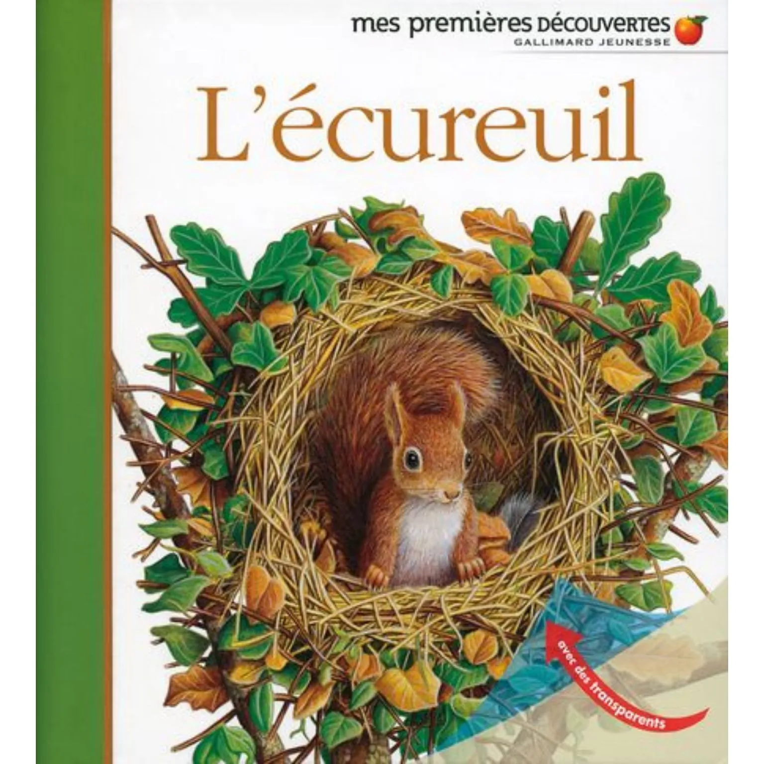 L'écureil